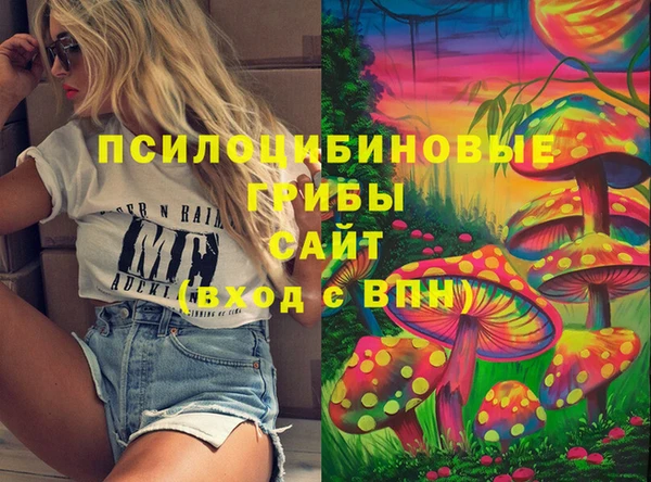 метамфетамин Покачи